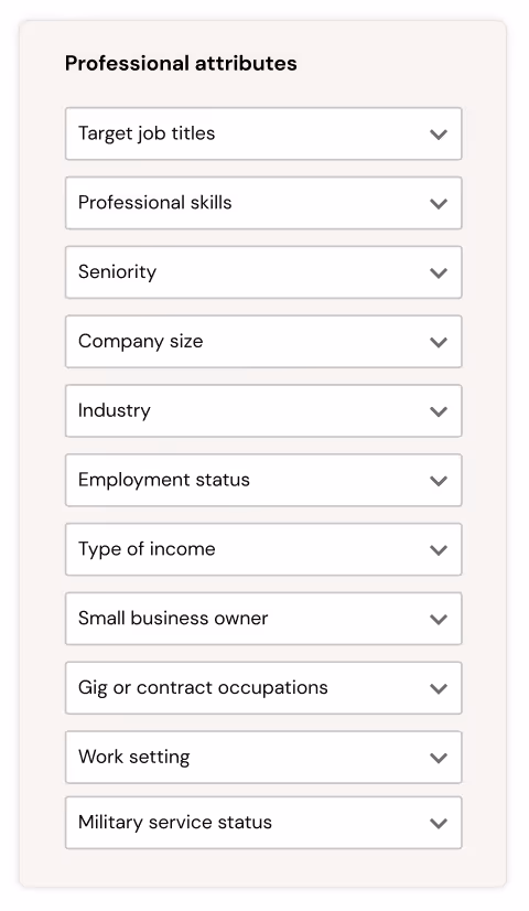 Professional attributes: Job titles, Skills, Seniority, Company Size, Industry, etc.
