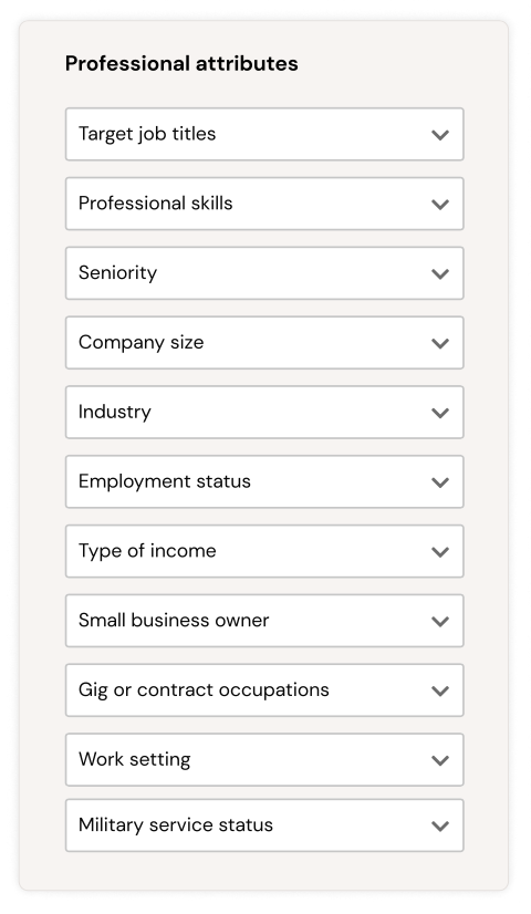 Professional attributes: Job titles, Skills, Seniority, Company Size, Industry, etc.