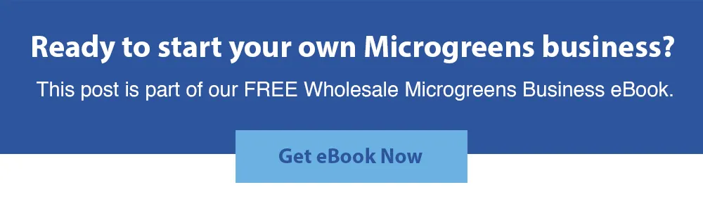 wholesale-microgreens-business