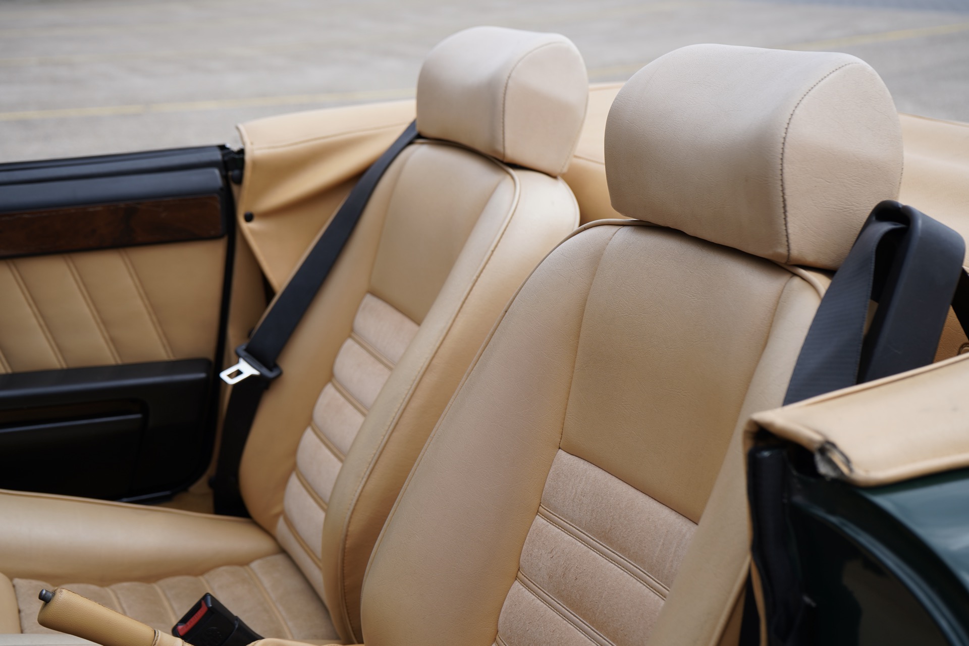 ALFA SPIDER 2.0