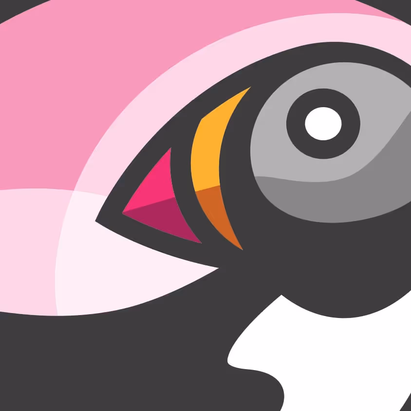 Puffin Logo Illustration