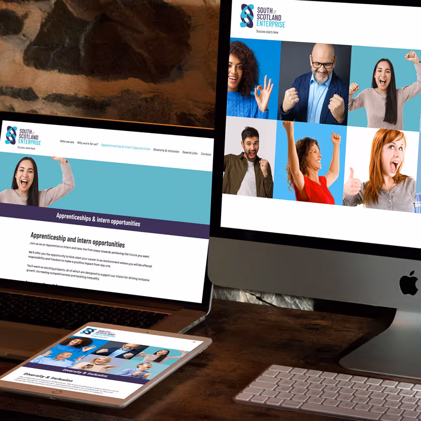 Micro website design for South of Scotland Enterprise