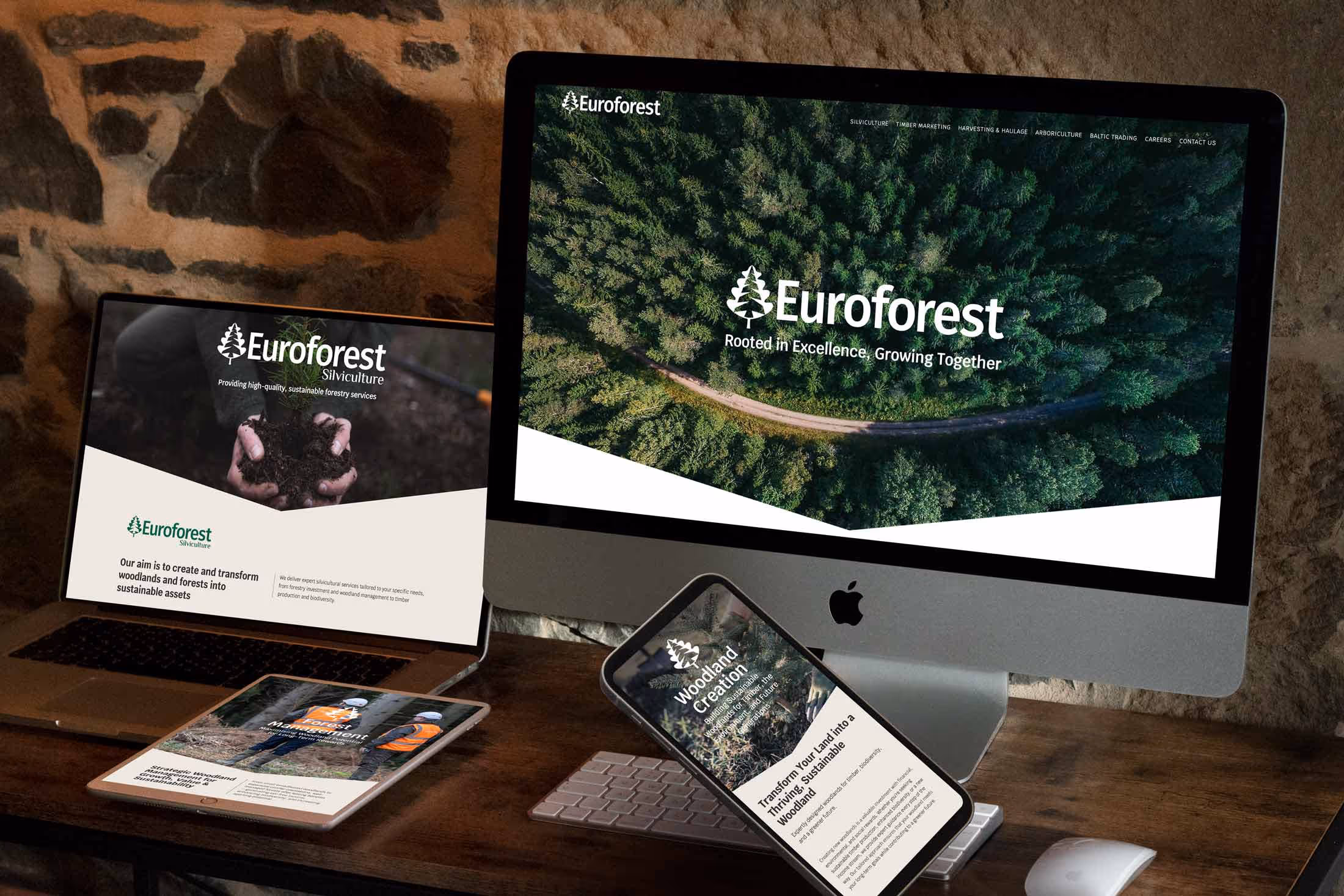 Micro website design for South of Scotland Enterprise