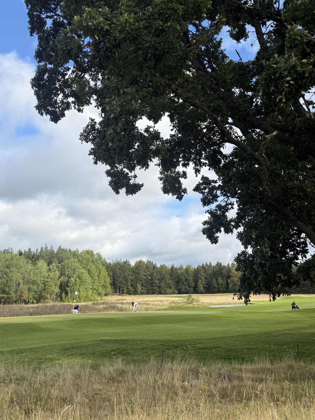 Bild från Viaplay Invitational 2026 på Haninge Golfklubb