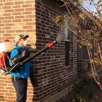 Vista technician applying mosquito control treatment to home perimeter in Prosper, TX