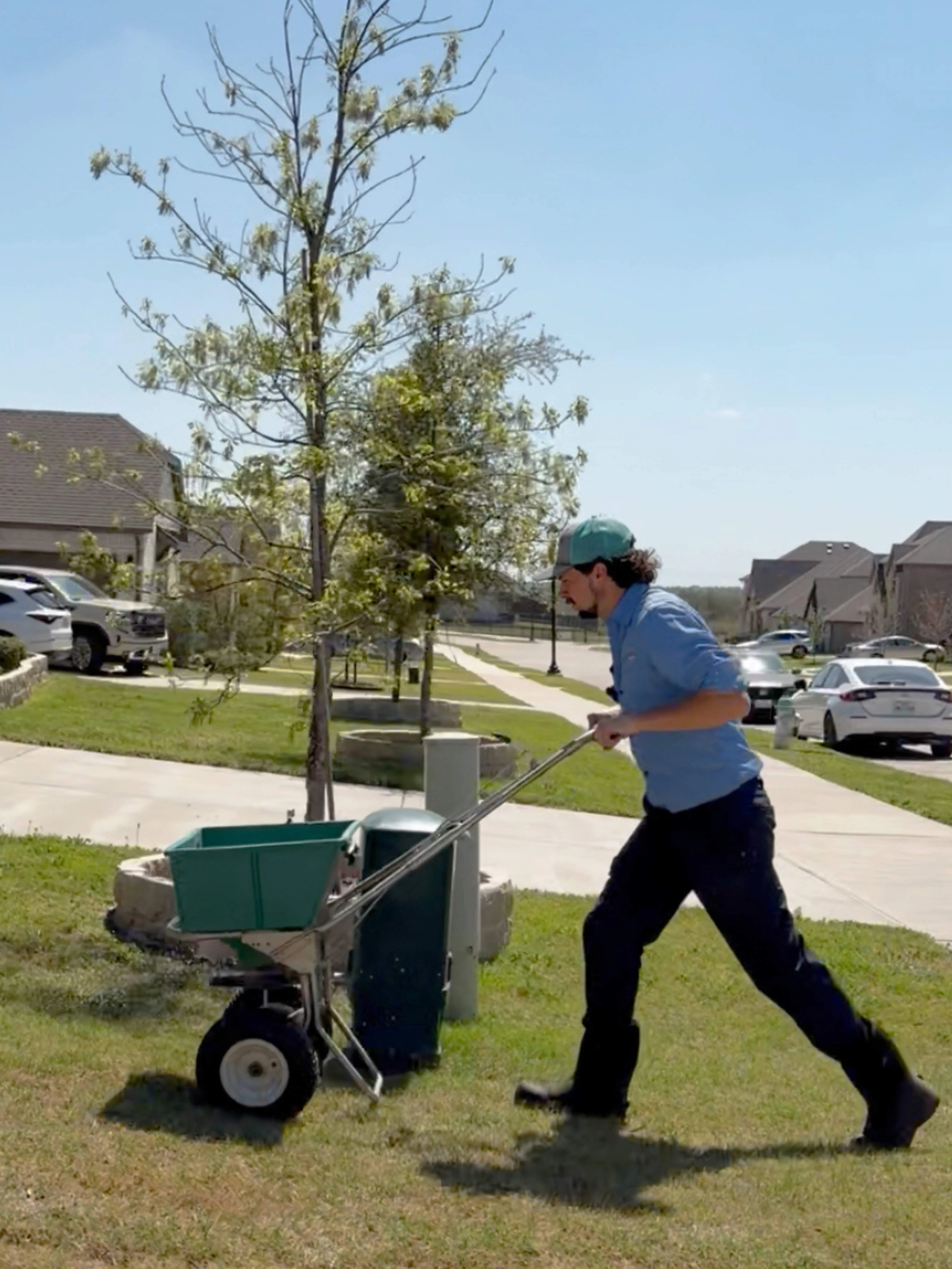 Man pushing a green spreader on a grassy lawn in a suburban neighborhood on a sunny day.