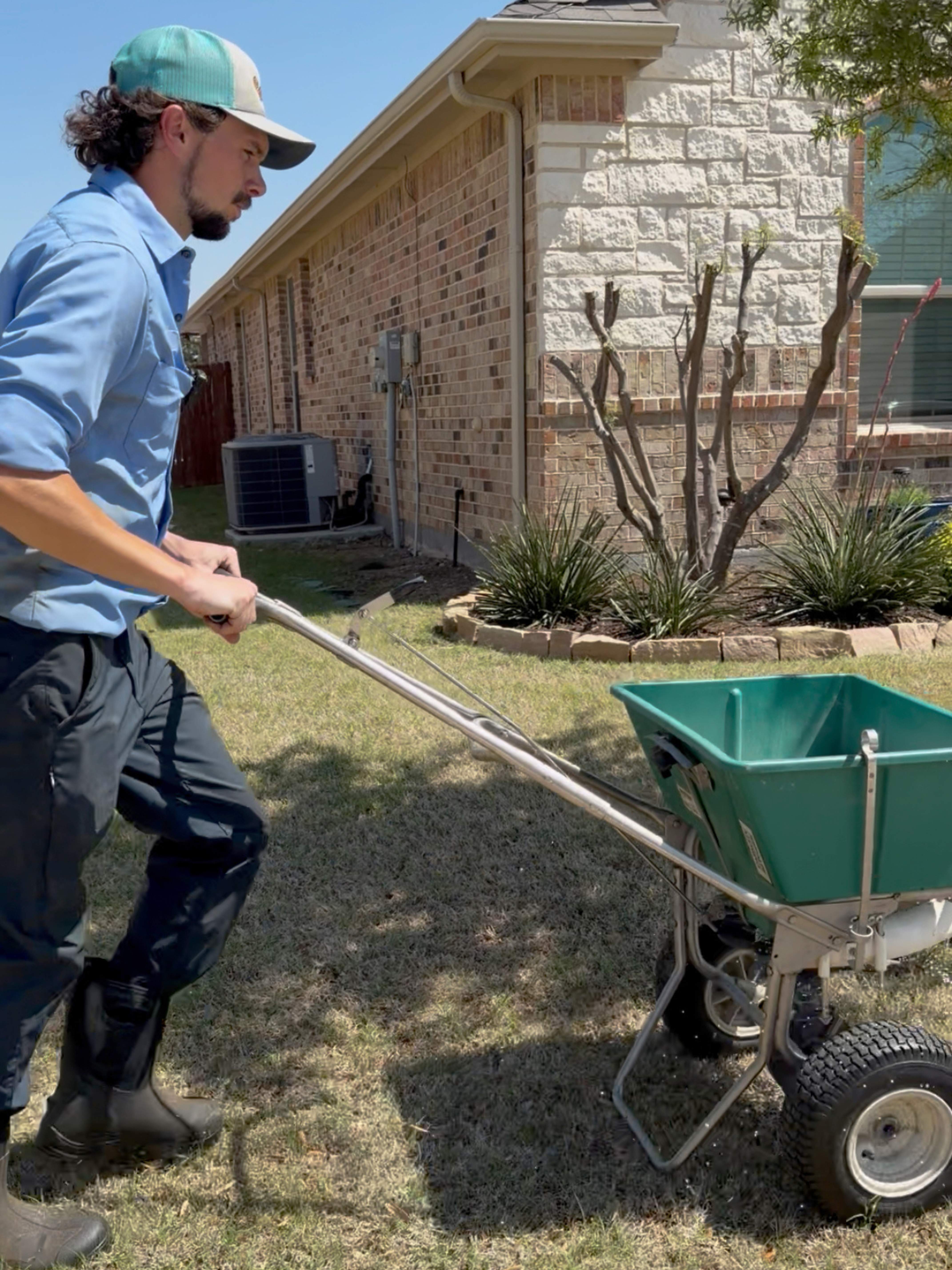 Man in blue shirt and cap pushing a green lawn spreader on grass near a brick house on a sunny day.