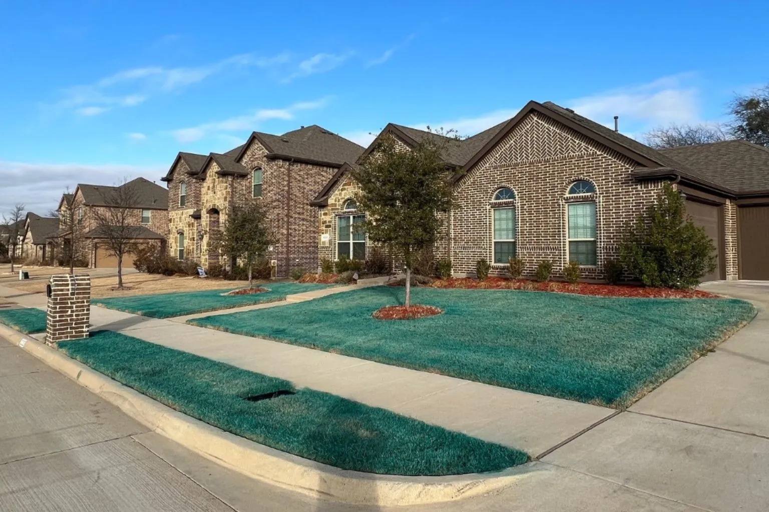 Residential neighborhood showing brick houses with neatly trimmed lawns, small trees, and a clear blue sky.