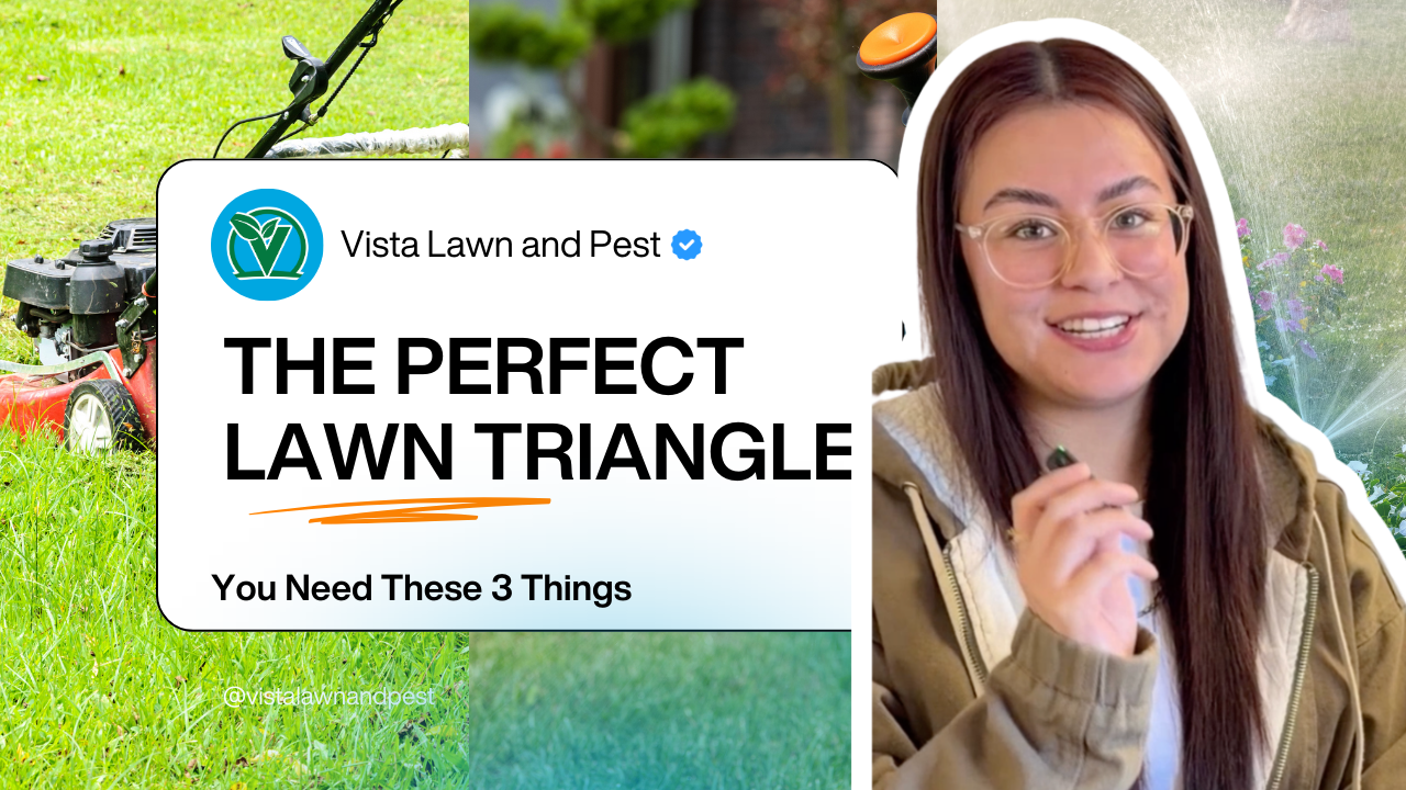 perfect lawn triangle midlothian tx vista lawn aileen explaining three essential lawn care elements mowing watering fertilization