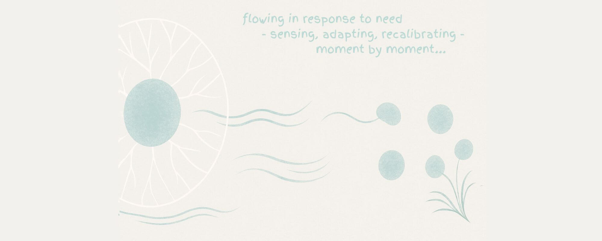 Tuning the Immune System