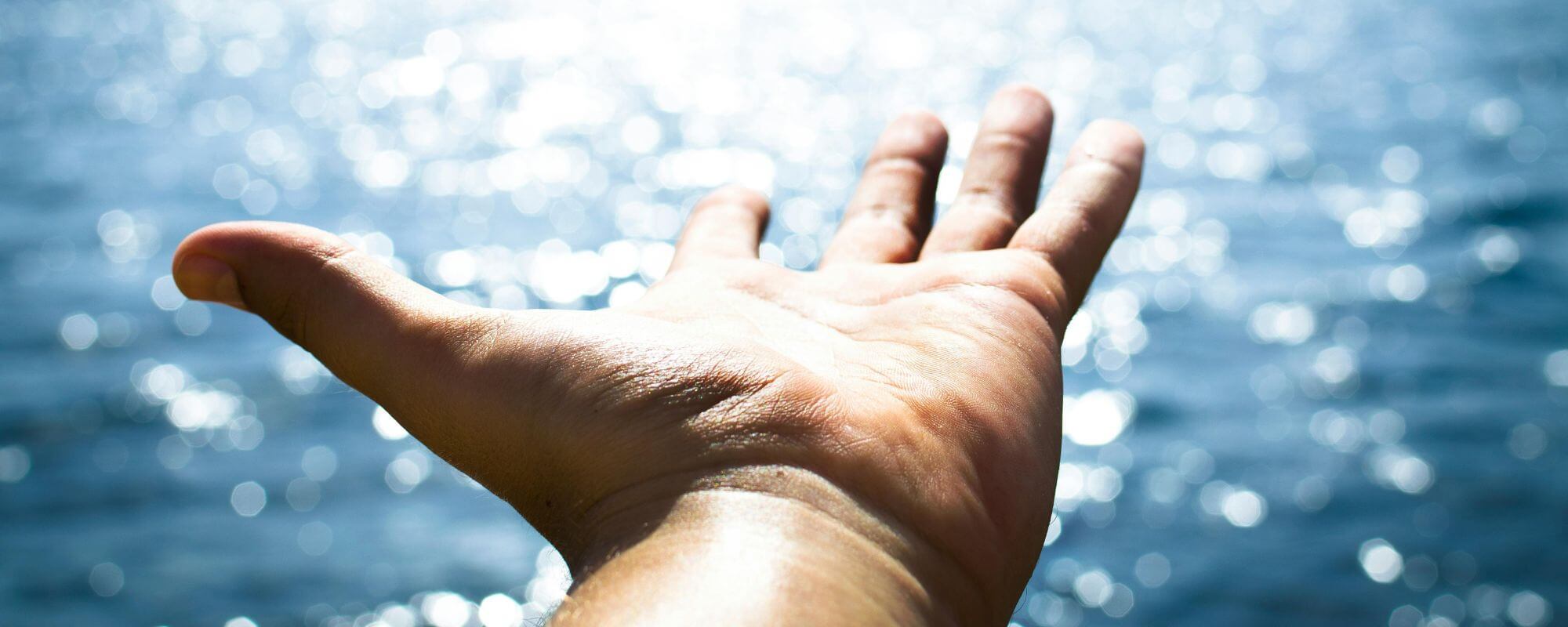 Hands are Portals for Reception and Transmission