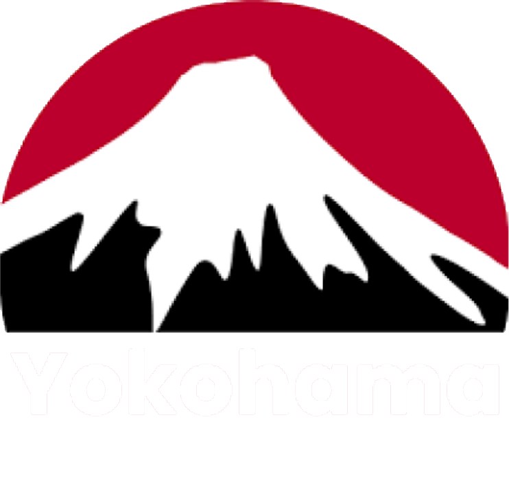 Logo AIPPI2025