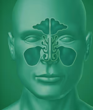 The Sinus System - How it is affected by chronic sinusitis