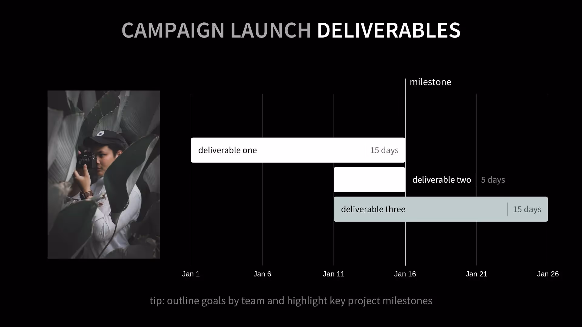 Campaign Deliverables