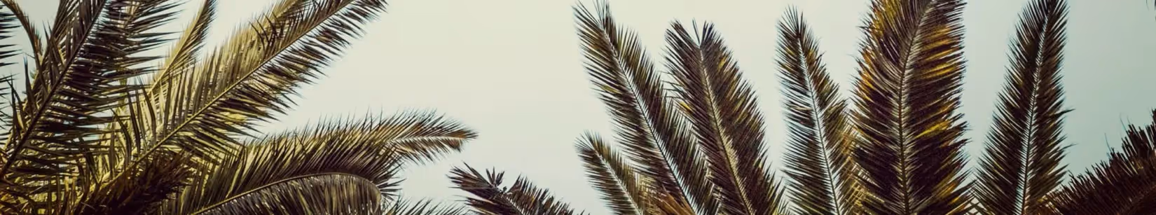 Create an Annual Marketing Plan in Minutes