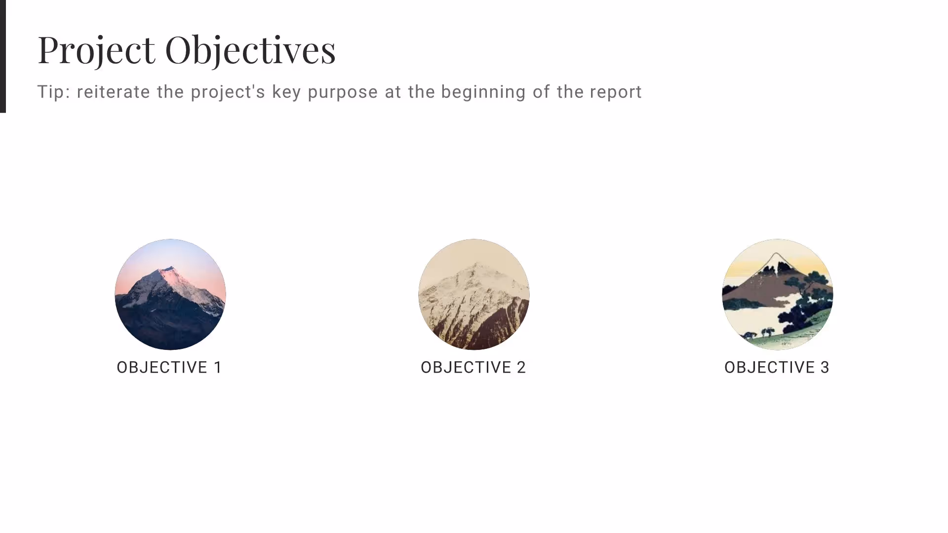 Project Objectives