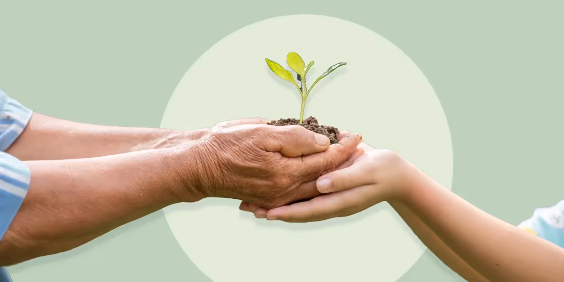 Pitching for Good: Creating Nonprofit Pitch Decks for Donors, Volunteers, and Government