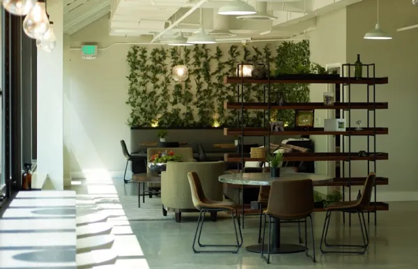Verde Capital Management Innovates Financial Education with Beautiful.ai