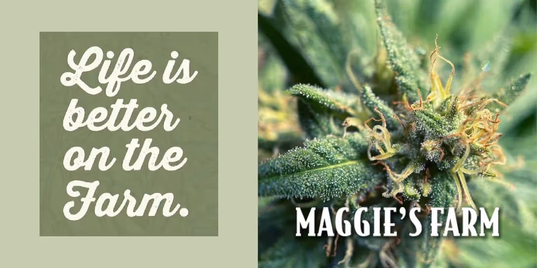 Community Spotlight: Colorado Dispensary Leverages Beautiful.ai to Grow