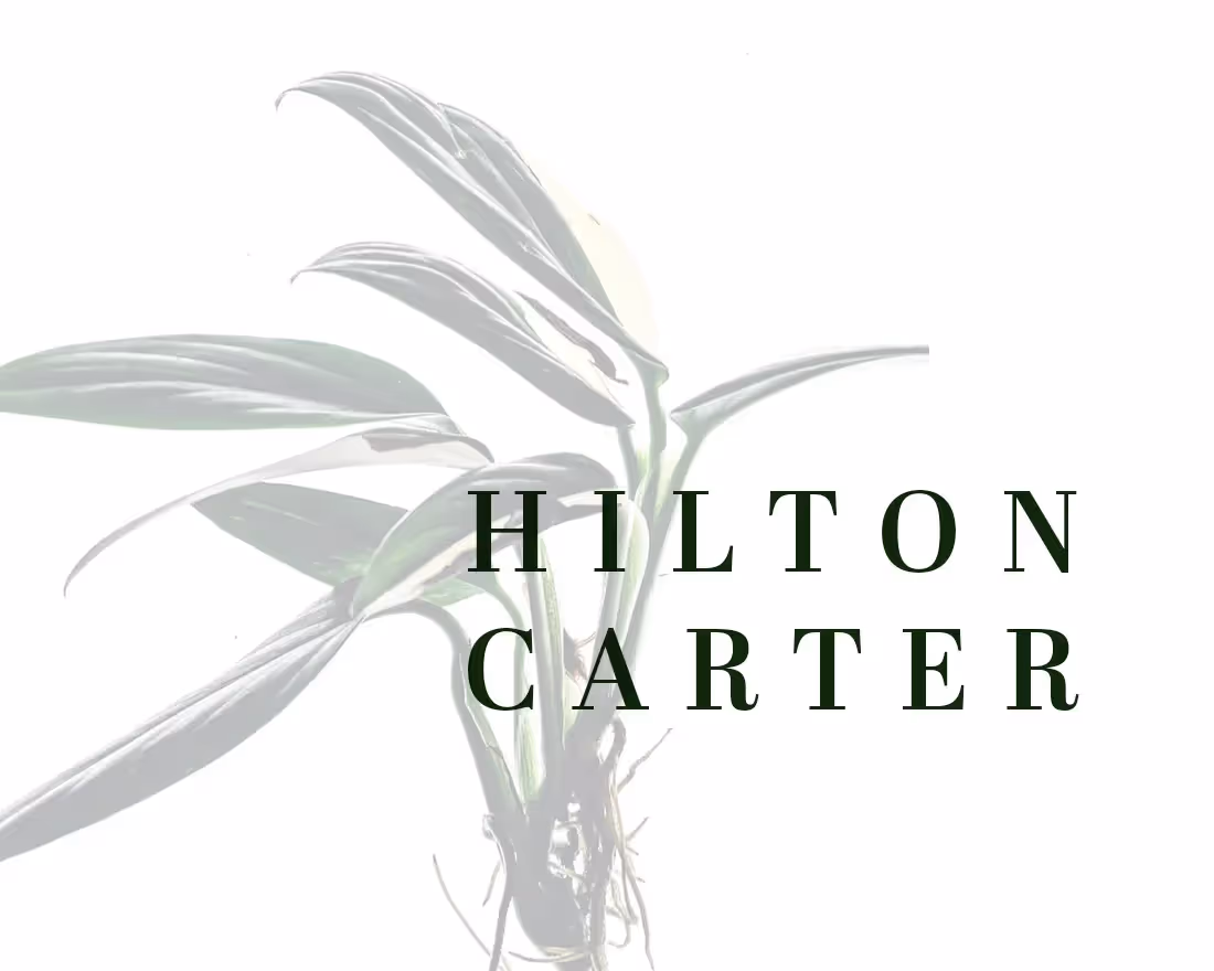Does Hilton Carter's Organic Interiors Style Translate to Presentations?