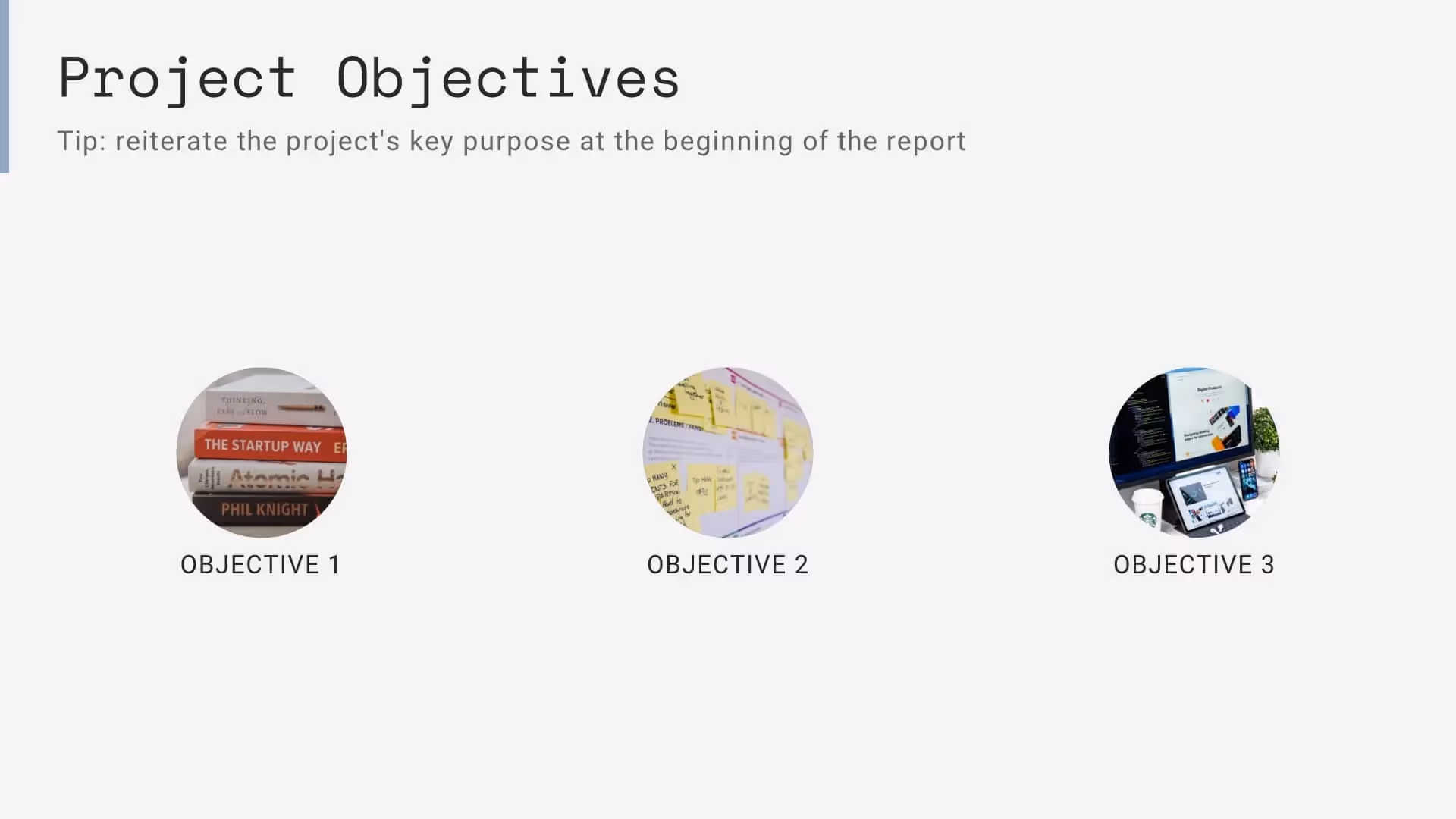 Project objectives