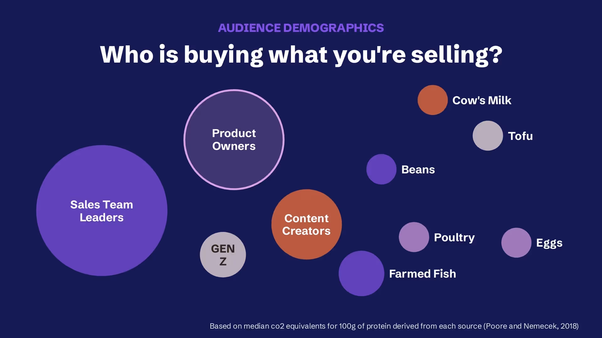 Audience Demographics