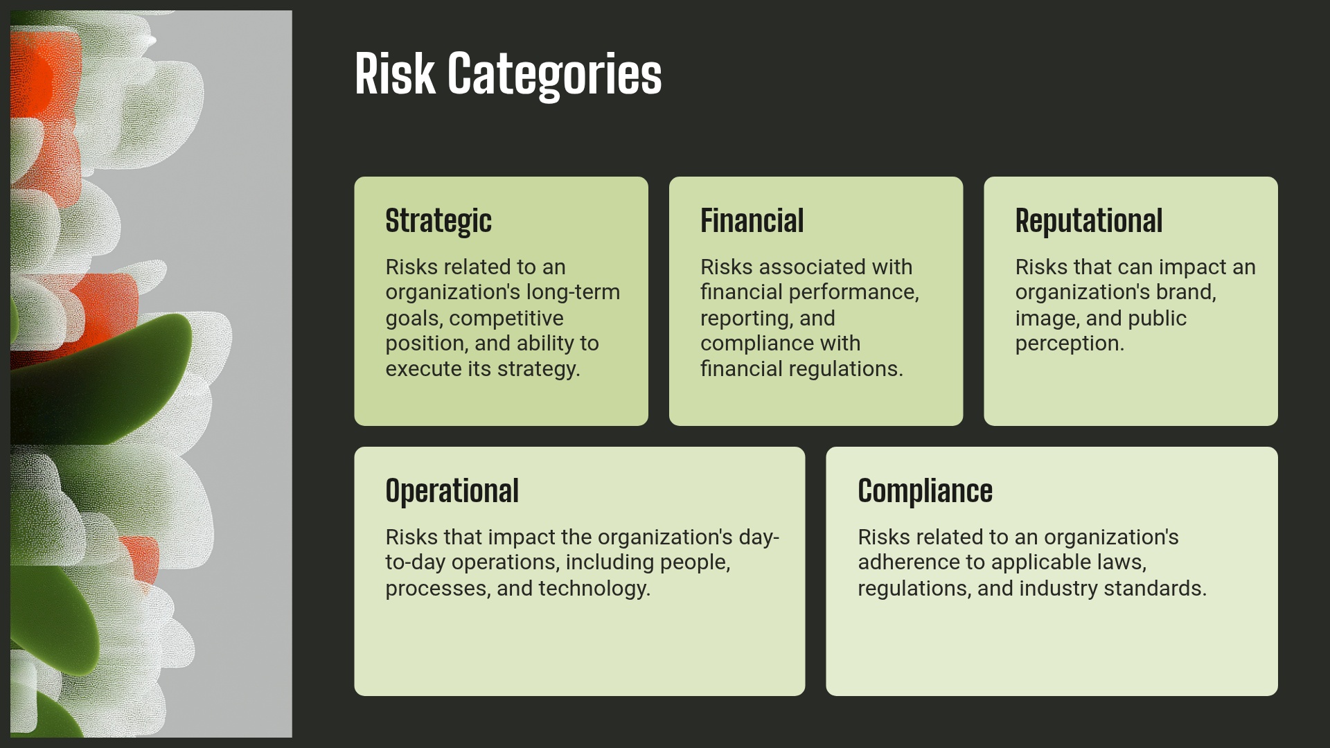 Risk Categories