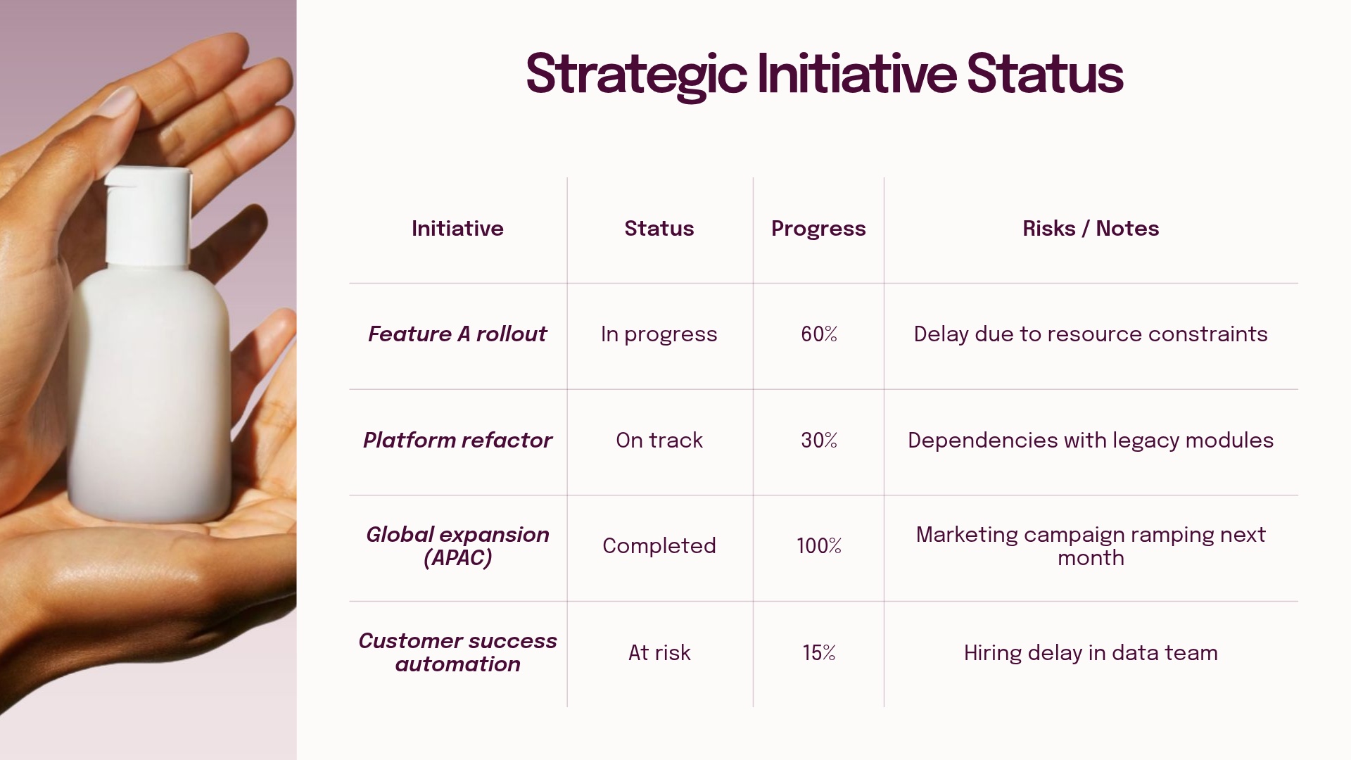 Strategic Initiative Status