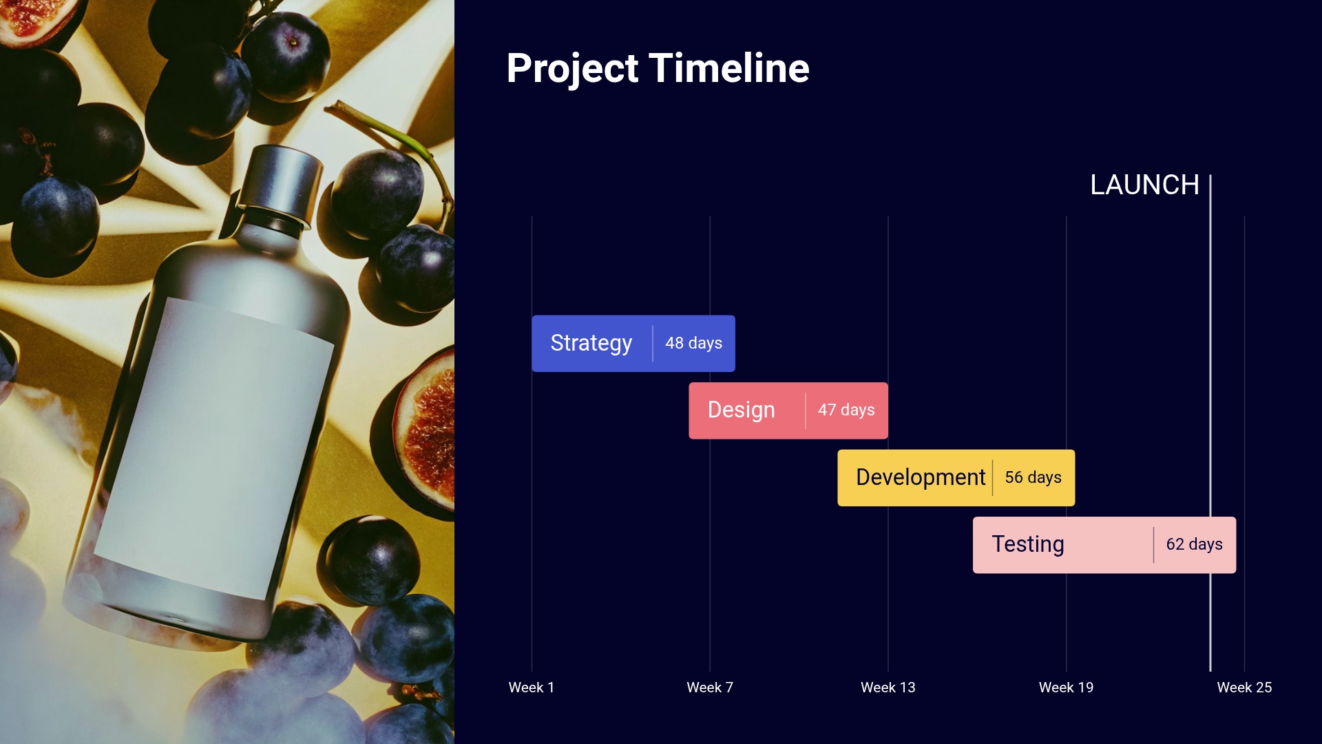 Project Timeline