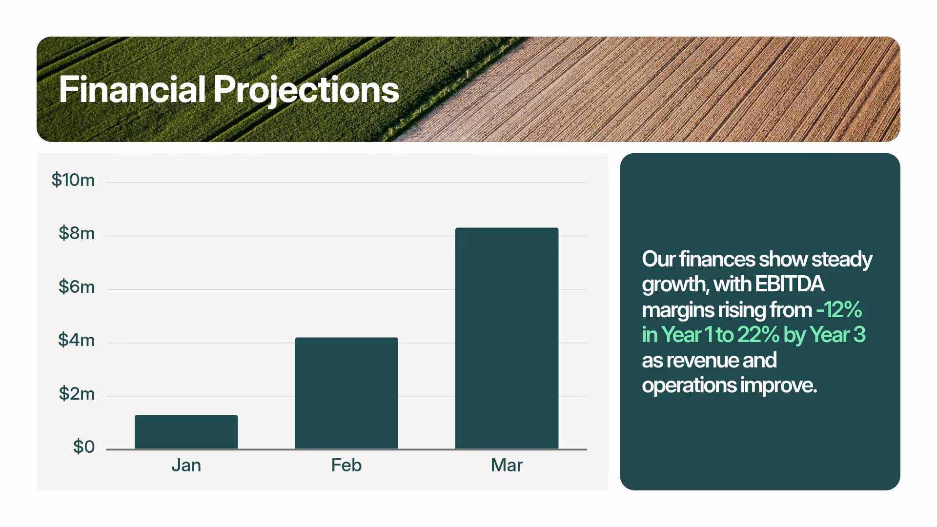 Financial Projections