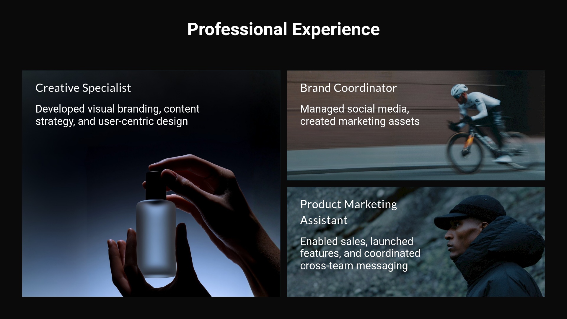 Professional Experience