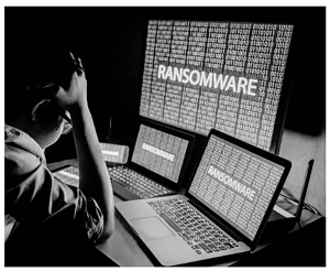 Screen Shot 2019-02-05 at 4.52.56 PM