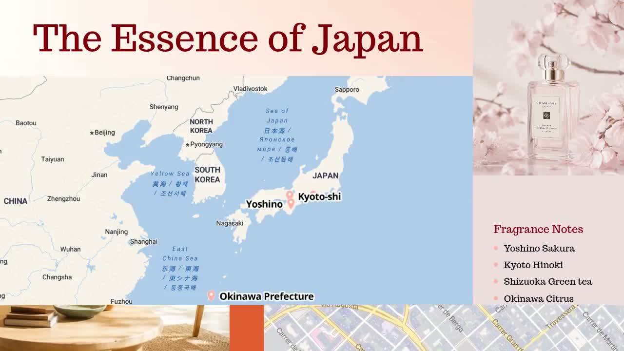 World Map