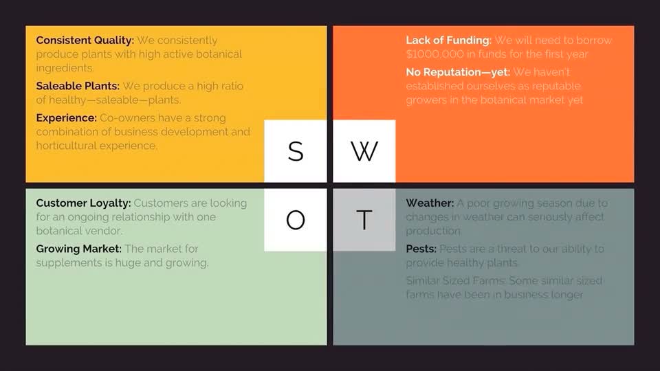 SWOT Analysis