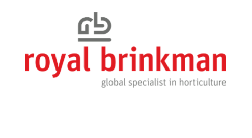 Royal Brikman Logo