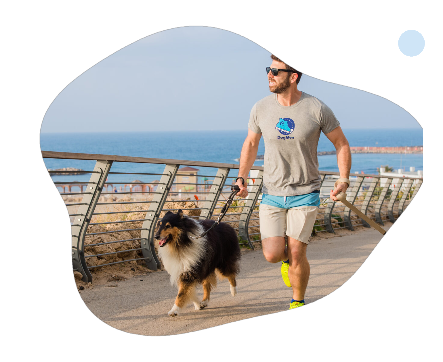A DogMen canine professional walking two dogs on the Tel Aviv promenade