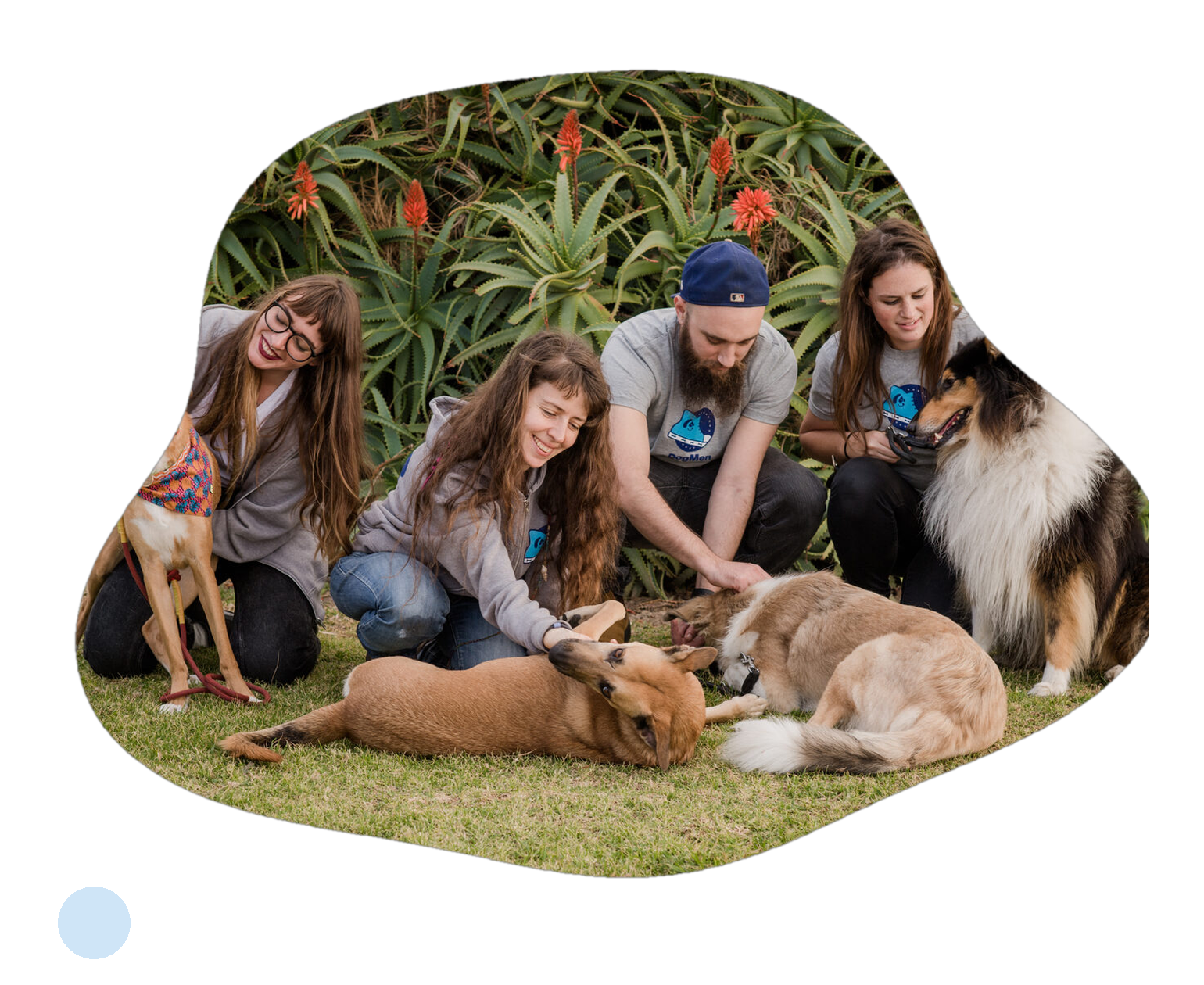 The DogMen team sitting on the grass with four dogs