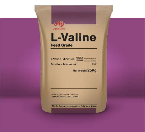 L-Valina Ajinomoto Animal Nuttrition