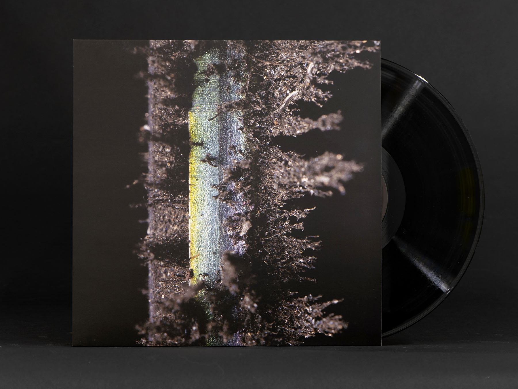 Perpetual Motion_Vinyl back