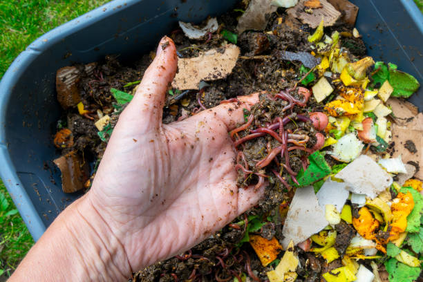 Garden Project FREE Gardening Workshop: Composting and Vermiculture