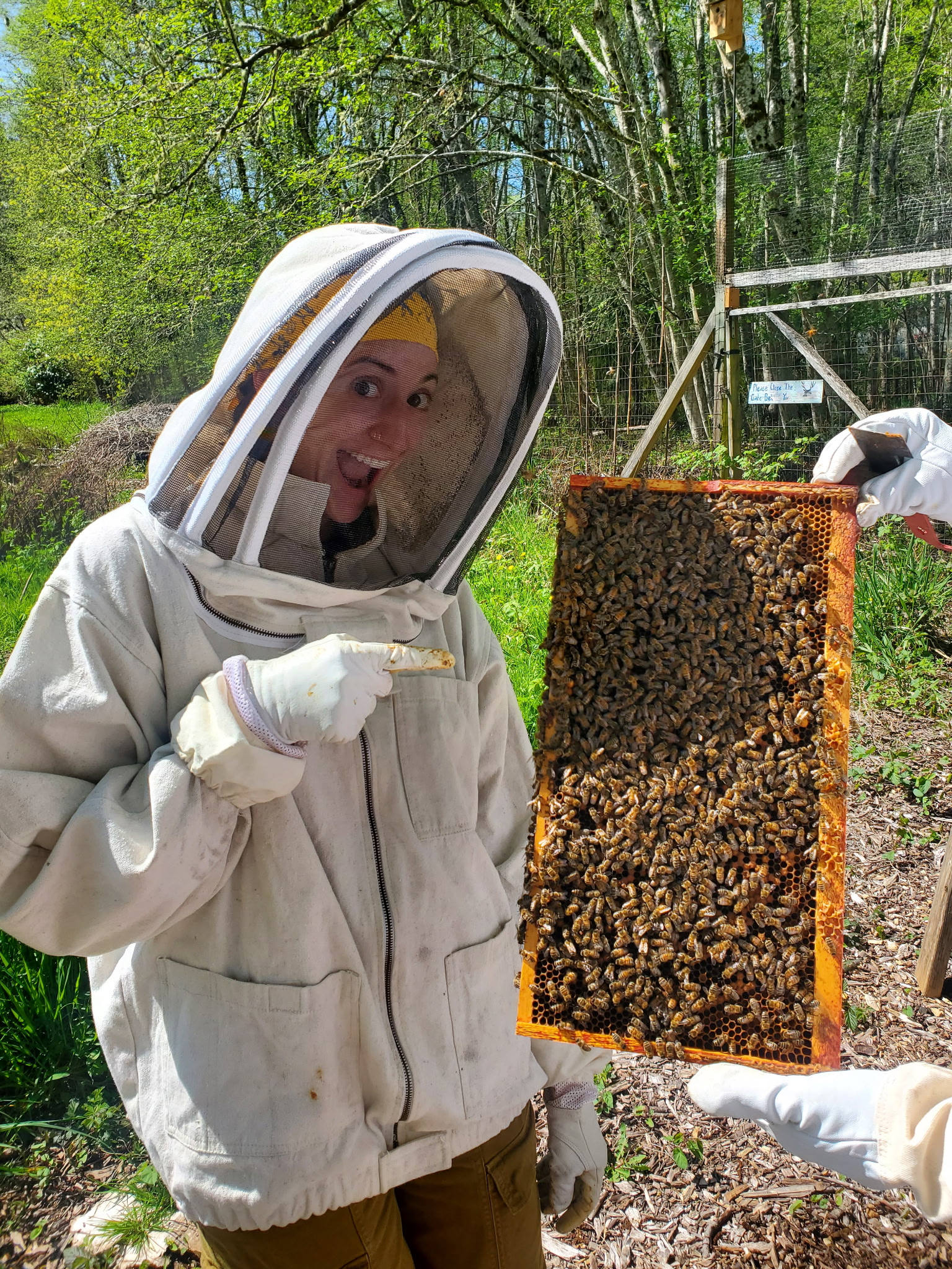 Veterans Day Give Local Story