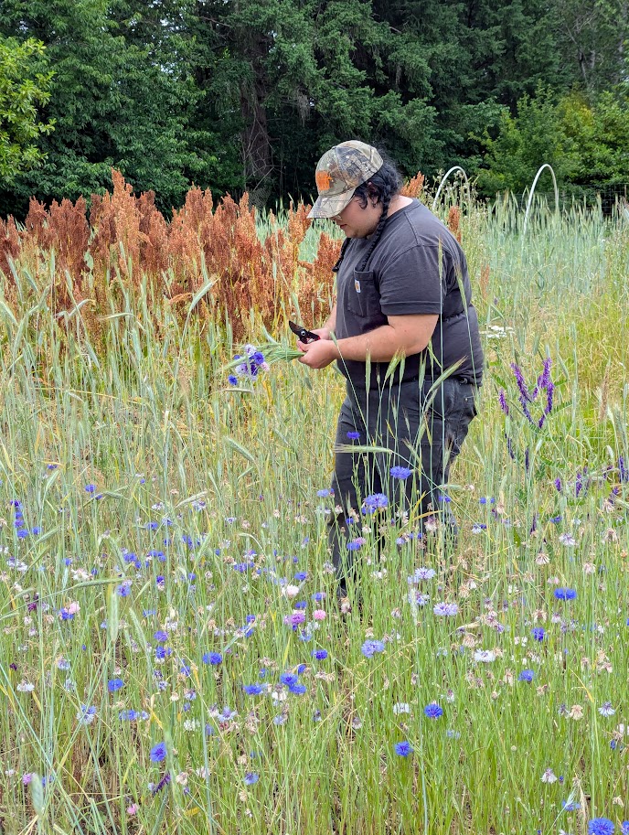 Garden Project Workshop: Saving Your Garden's Bounty