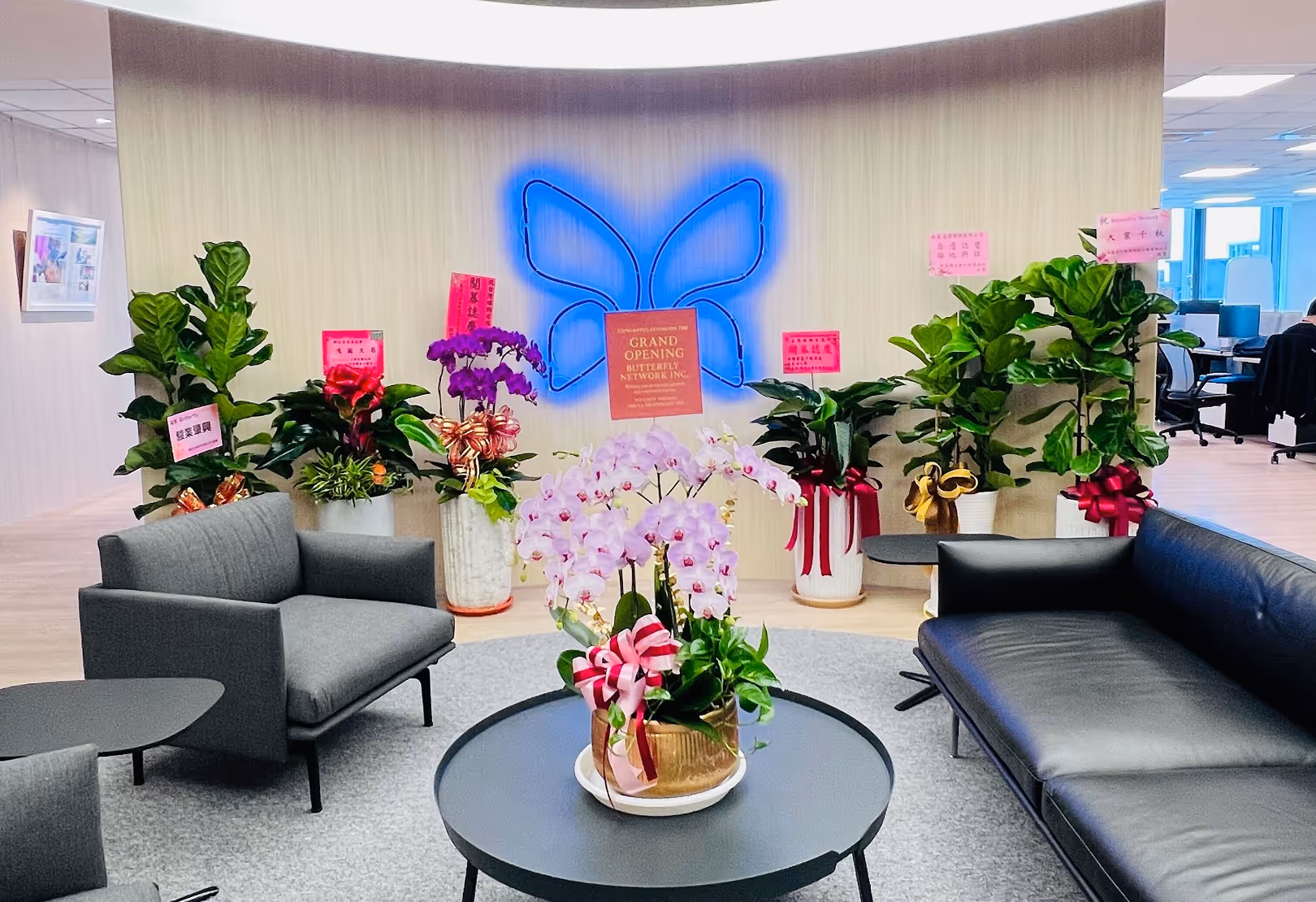 Modern office lounge with gray and black sofas, round black tables, a central pot of pink orchids, and various potted plants with congratulatory pink cards and a glowing blue butterfly logo on the back wall.