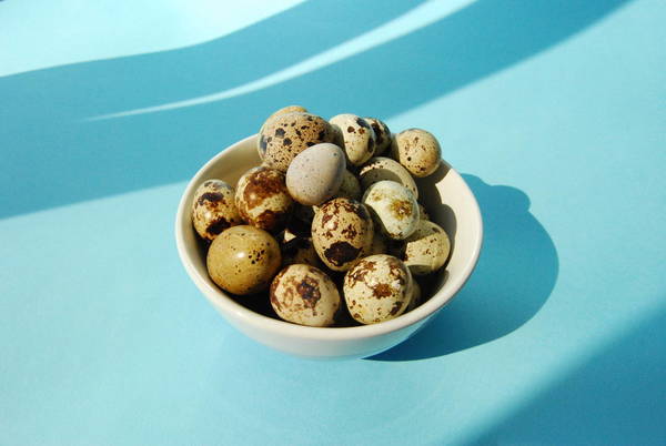 Eggs In Bowl Over Blue Background