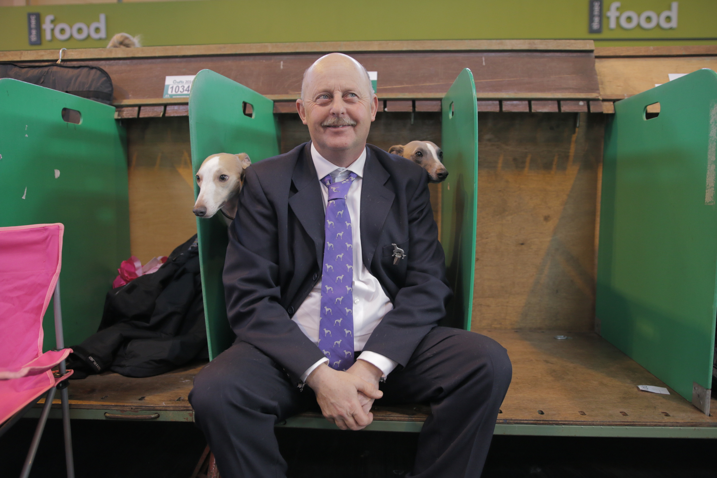 Whippet master