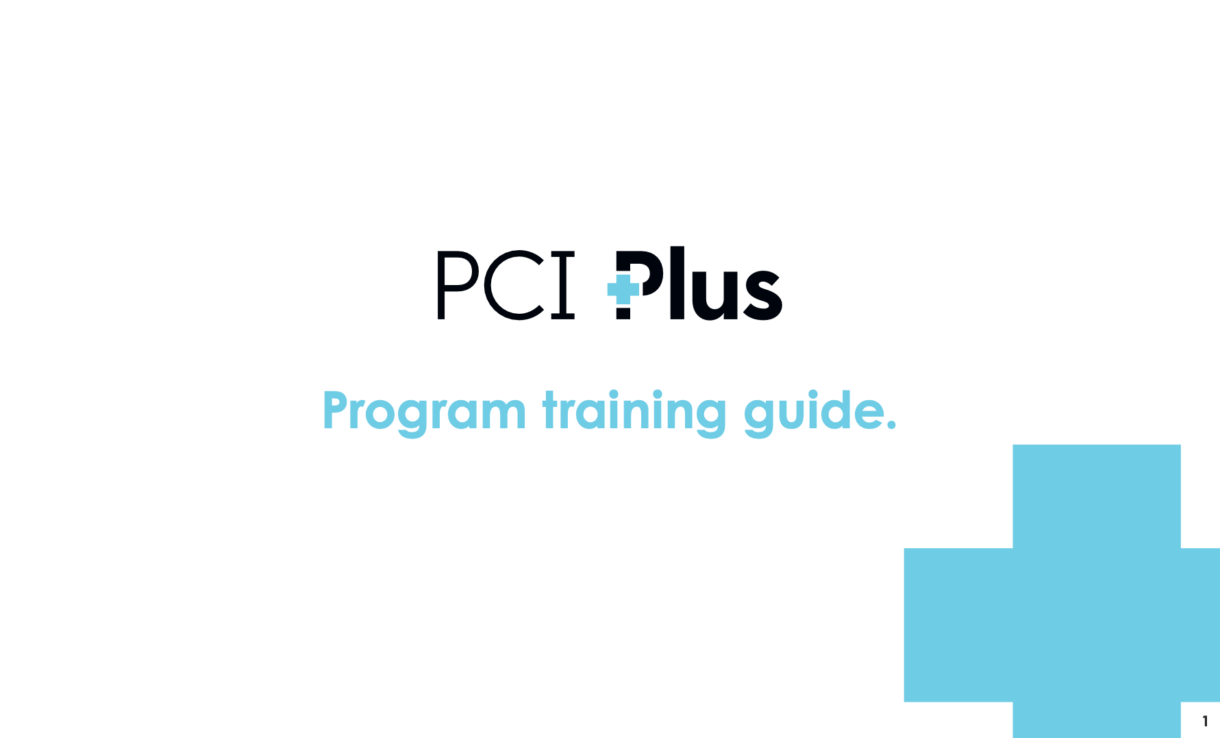 PCI Plus Slide Deck