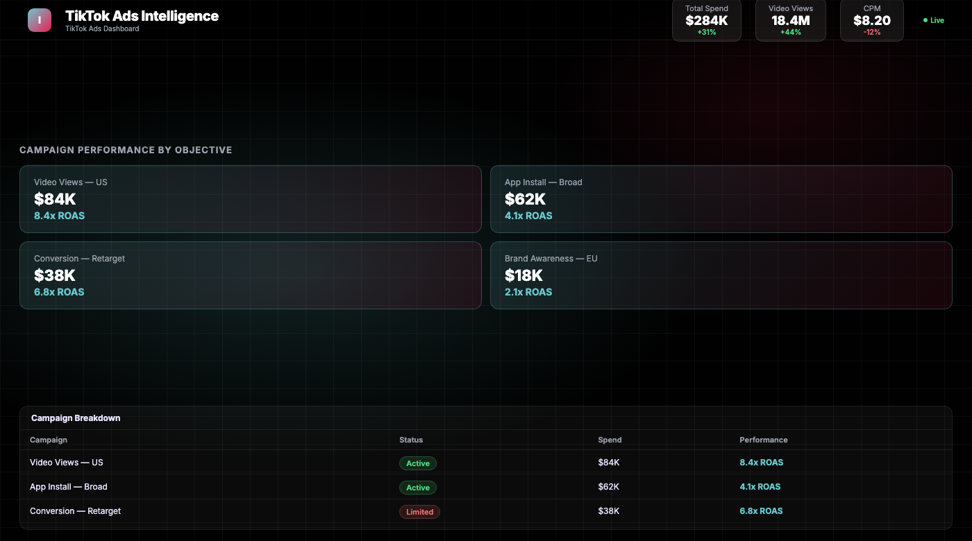 TikTok Ads Dashboard
