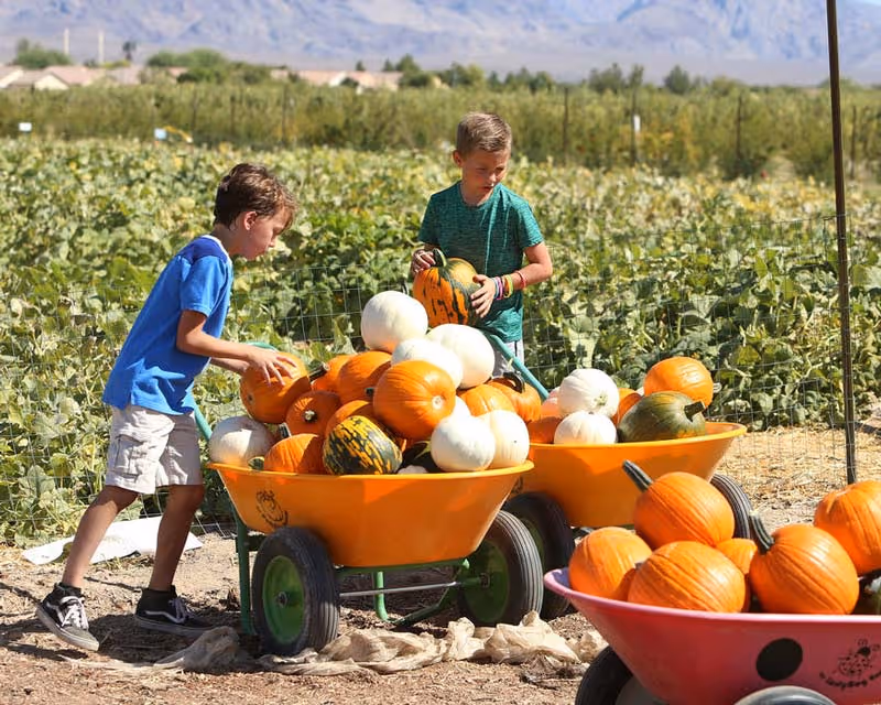 Gilcrease Orchard Kids Picking Vegetables