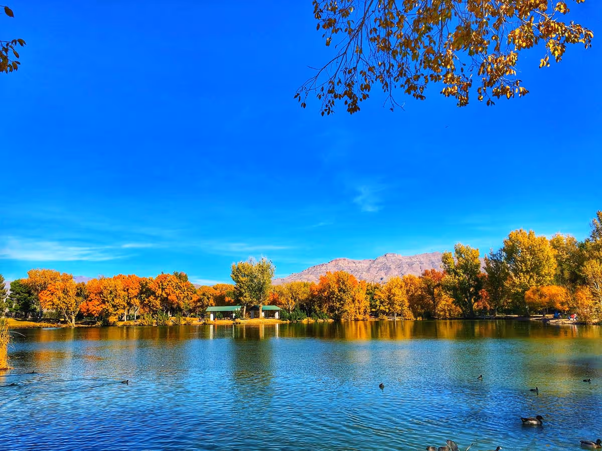 Floyd Lamb Park Lakes