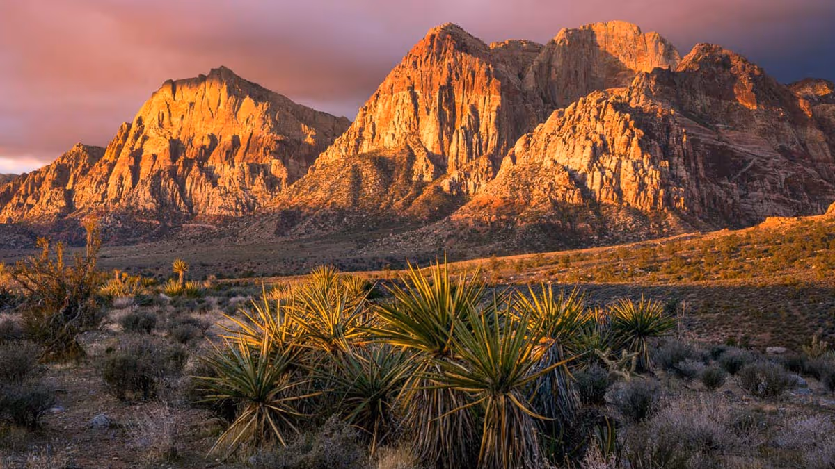 Red Rock Canyon